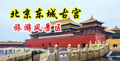操逼网址艹国产中国北京-东城古宫旅游风景区